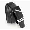 Modern Belt with gold